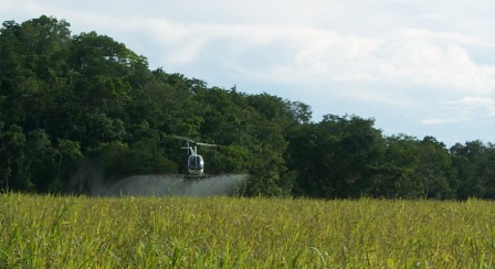 R22 en labores de fumigacin